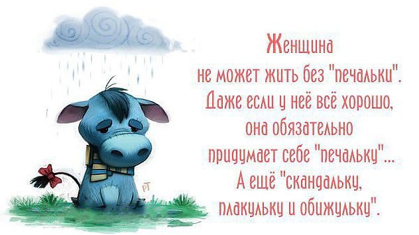     - 6  2016  05:23