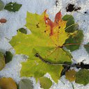 ���� �����, �����-���������, 62 ���� - ��������� 22 ������ 2016 � ������ ���� ����������