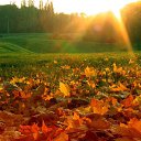 ���� ��������, ��������, 57 ��� - ��������� 10 �������� 2016 � ������ ������ ��������