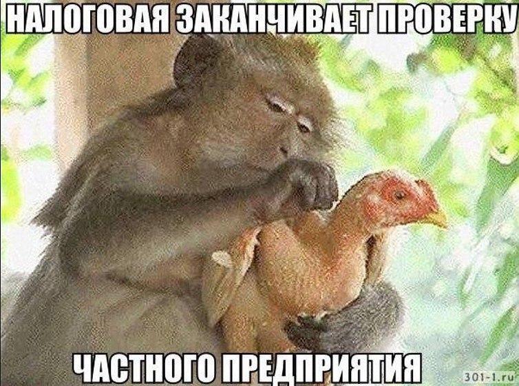 - !   !))))) - 6