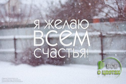 ��� � ������ - 13 ������� 2016 � 00:13