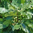  , , 60  -  25  2016    &quot; &quot; 2016