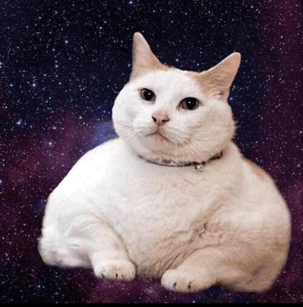    : - 3