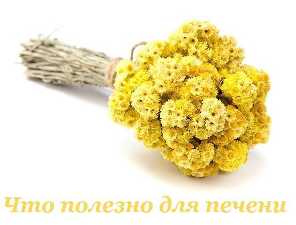 Что полезно для печени. Печень, выполняющая функцию очищения крови от токсинов, как и любой фильтр, ...
