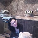 ���� �������, �����-��������� - ��������� 15 ����� 2017 � ������ ���� ����������