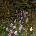 ���� Lana, ������, 54 ���� - ��������� 1 ������ 2017 � ������ �Timeline Photos�