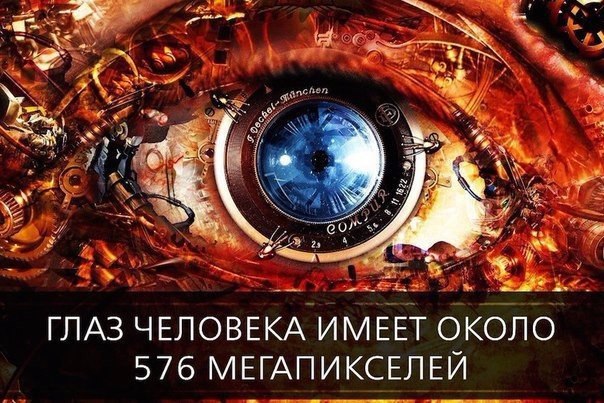  - 10  2017  02:35