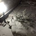 ���� �������, ������� - ��������� 18 ������� 2016 � ������ ���� ����������
