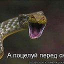 ���� // I., ����� - ��������� 17 �������� 2016 � ������ ���� ����������