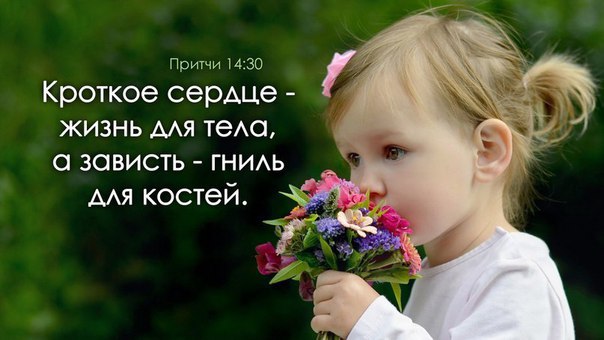   - 15  2016  11:49