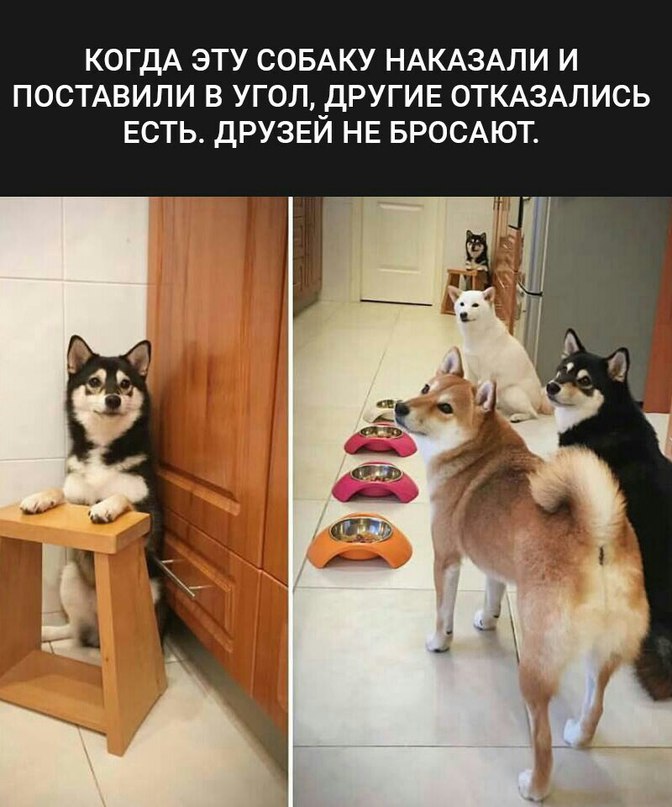    :-) - 15  2016  13:02