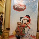 ���� ���������, �����-��������� - ��������� 14 ������ 2016 � ������ ������ ��������
