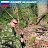 ���� �����, ���������, 48 ��� - ��������� 11 �������� 2016