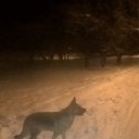 ���� �������, ������, 59 ��� - ��������� 6 ������ 2016 � ������ ���� ����������