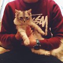 ���� ������, ������, 31 ��� - ��������� 5 ������ 2016