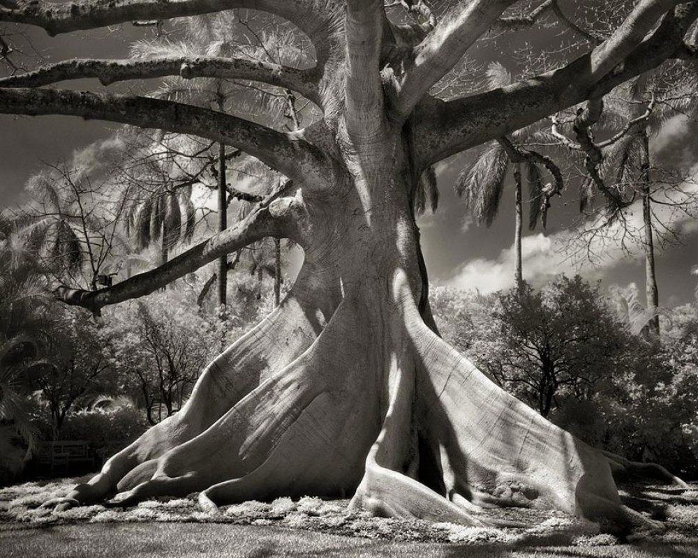   -   (Beth Moon)   ,    ... - 7