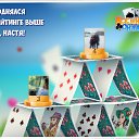 ���� Rif, ����������� - ��������� 11 ������ 2016 � ������ �������� �������-�������