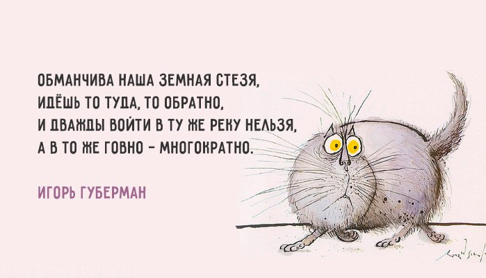 Svetlana - 15  2017  18:02