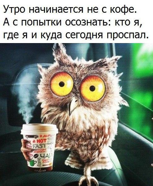   - 25  2017  10:50