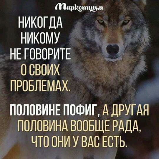   !!!
