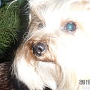 ���� ������, �������� - ��������� 2 ������ 2016 � ������ ���� ����������