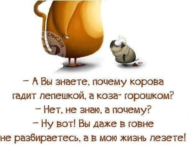 ...����� ���� �� ����� ����, ���� �� ������ :)