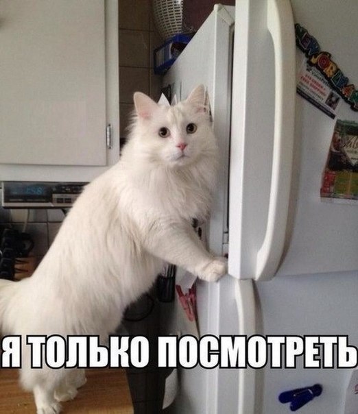 ...  ?