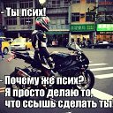 ���� ����, ����, 44 ���� - ��������� 13 ������ 2017 � ������ ���� ����������