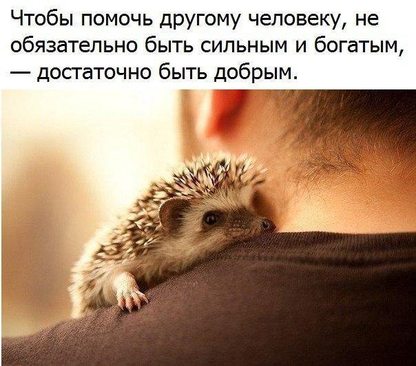   - 5  2017  14:49