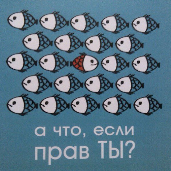 LIFE -  - 1  2017  19:26