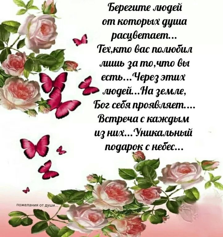   - 10  2016  19:53