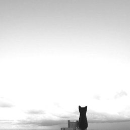 ������, ������, 33 ����