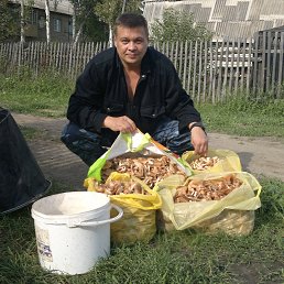 ���� ������, �������, 50 ��� - ��������� 2 ������� 2016