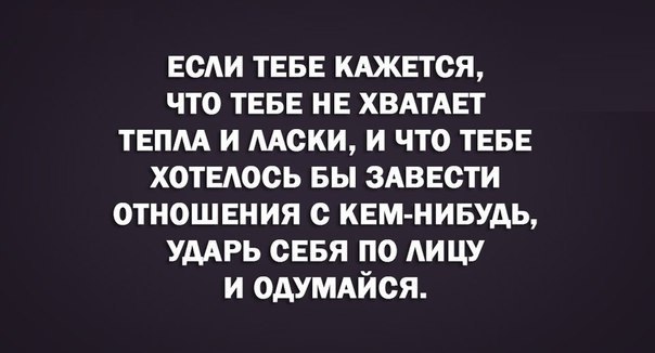 SportFeed - 22  2016  05:54