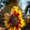 ���� �����, �����, 64 ���� - ��������� 22 ������� 2016 � ������ ������� ���������