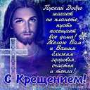 ���� ����, ������, 43 ���� - ��������� 20 ������ 2017 � ������ ���� ����������