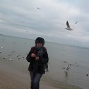 ���� ������, ������, 65 ��� - ��������� 3 ����� 2017 � ������ ���� ����������