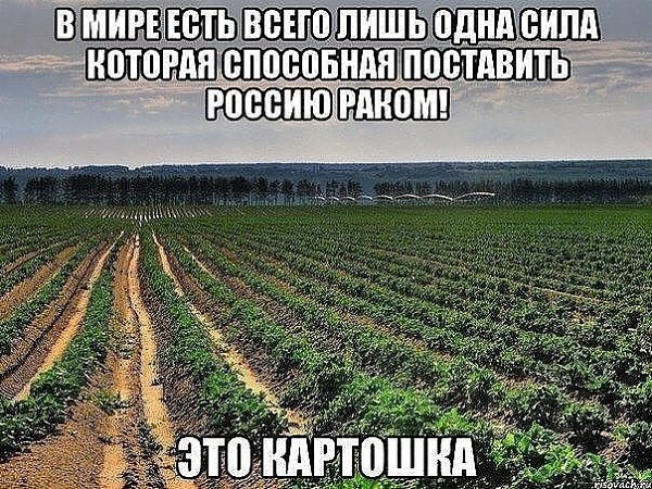 Ужин в семье 3-х медведей. Отец -