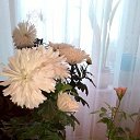  , -, 54  -  10  2016    ۻ