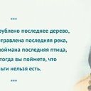 ���� ������, �����-���������, 48 ��� - ��������� 11 ������� 2016 � ������ ������ ��������