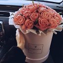 ���� �������, ������, 49 ��� - ��������� 8 ������� 2016 � ������ ���� ����������