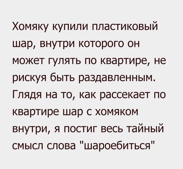  - 20  2016  20:08