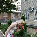 ���� �����, ���������� - ��������� 12 �������� 2016 � ������ ���� ����������