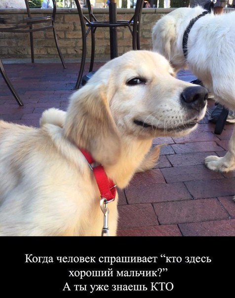***Victoria Viktorovna*** - 11  2016  00:50