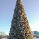 ���� �������, �������, 40 ��� - ��������� 30 ������ 2017 � ������ ���� ����������