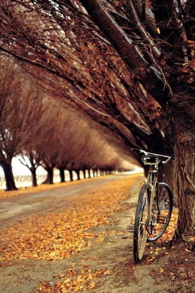   ,       ,  ,  ... - 3