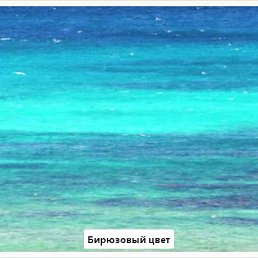 ����, ������, 44 ����