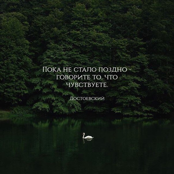   - 21  2017  15:01