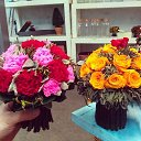 ���� �����, ������, 44 ���� - ��������� 16 ������ 2016 � ������ ������ ��������