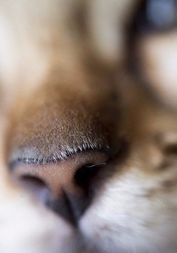 ���� �������� - 3